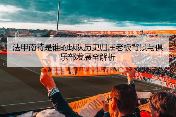 法甲南特是谁的球队历史归属老板背景与俱乐部发展全解析